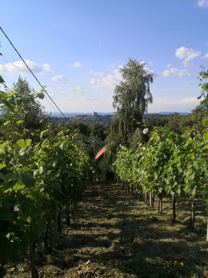 Vila Vikendica Sirec Ptujska Gora Exteriér fotografie